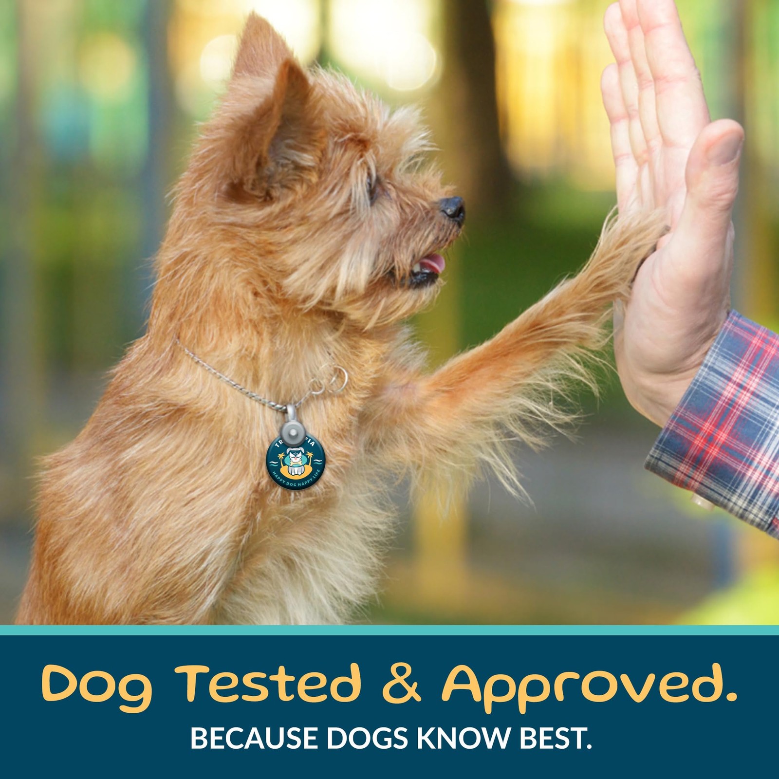 Beef Lung Nuggies Dog Treats – Single Ingredient, High Protein, Low Odor, Nat…