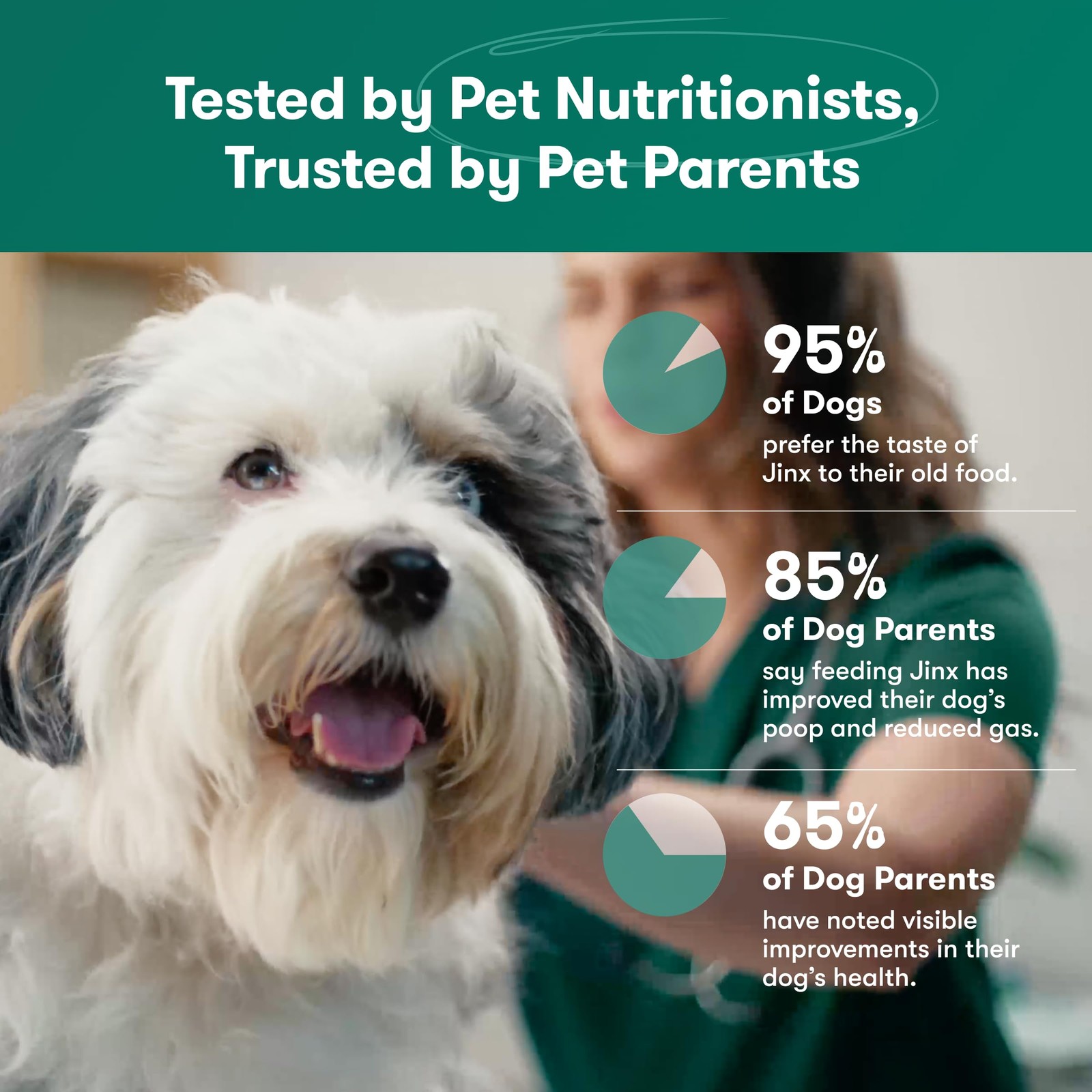 Jinx Premium Grain-Free Dry Dog Food, for All Lifestages 4 Pound (Pack of 1)