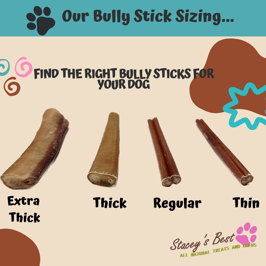6″ inch EXTRA THICK BULLY STICKS natural dog chews treats USDA & FDA approved