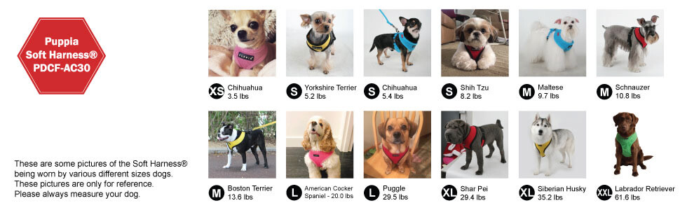 Puppia® Soft Mesh Adjustable Breathable Dog Harness XS S M L XL AC30