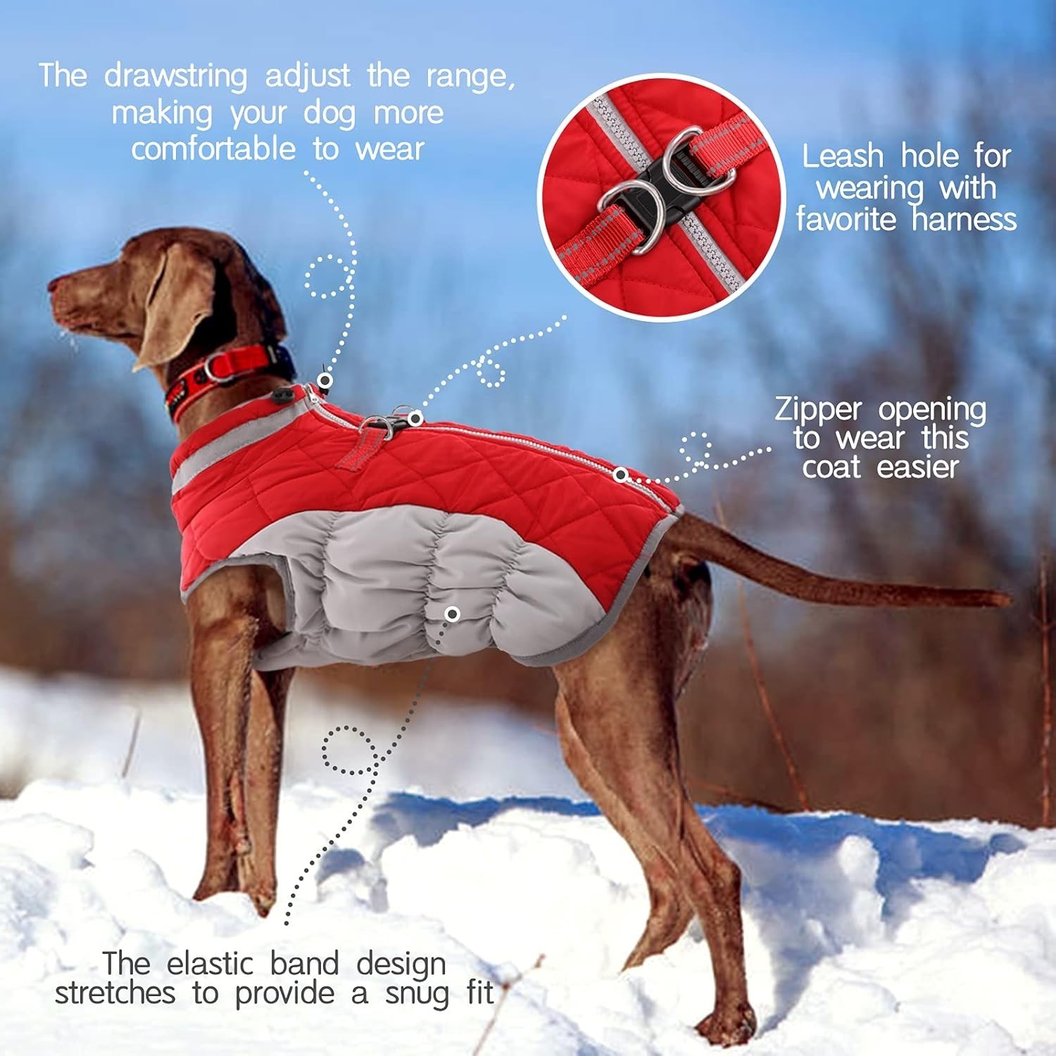 NEW XXXL 3XL Coat for Large Dogs Waterproof Dog Winter Jacket B11