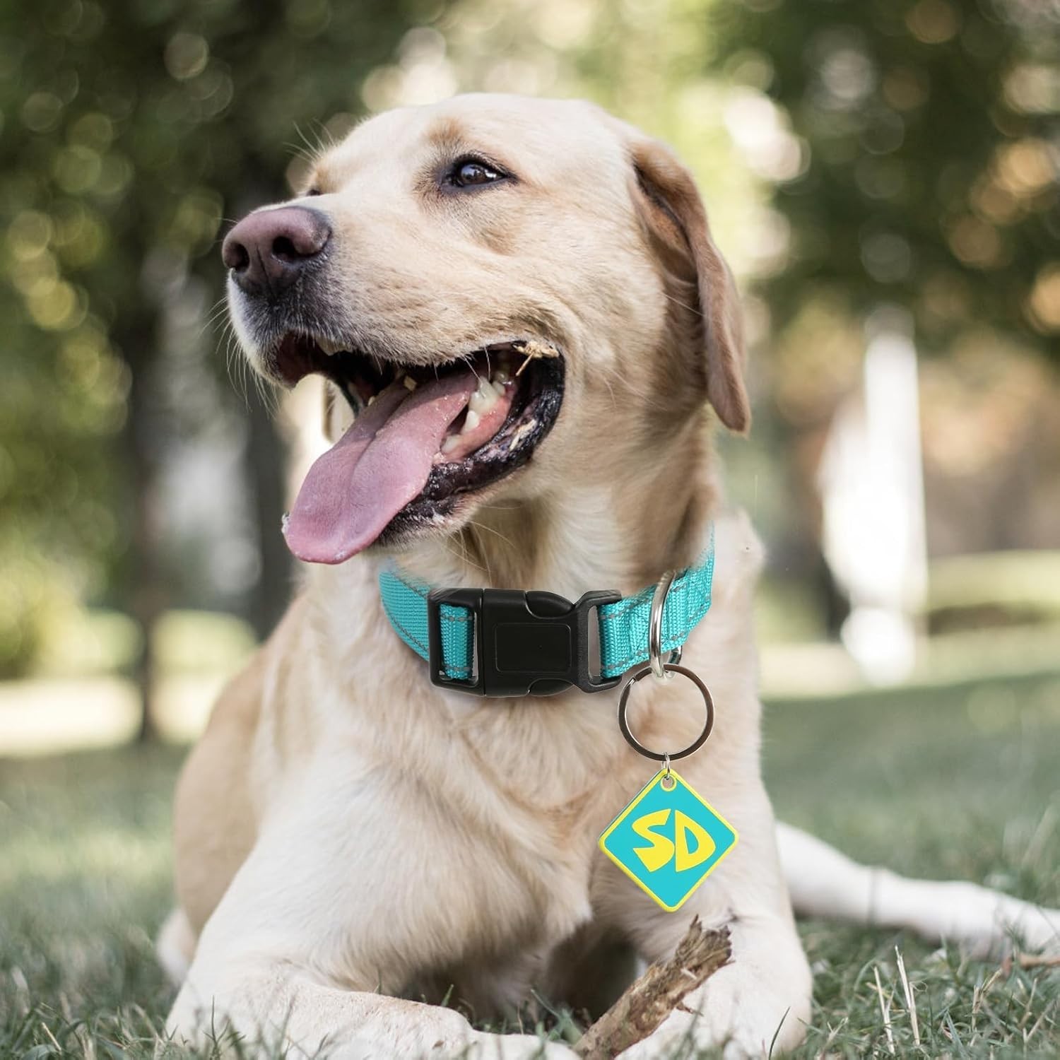 Dog Halloween Costumes SD Tags with Nylon Adjustable Collar SD Collar Tags