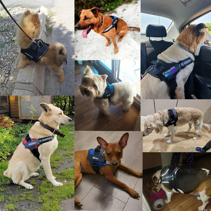 Custom Dog Harness with Name Reflective No Pull Adjustable Pet Vest