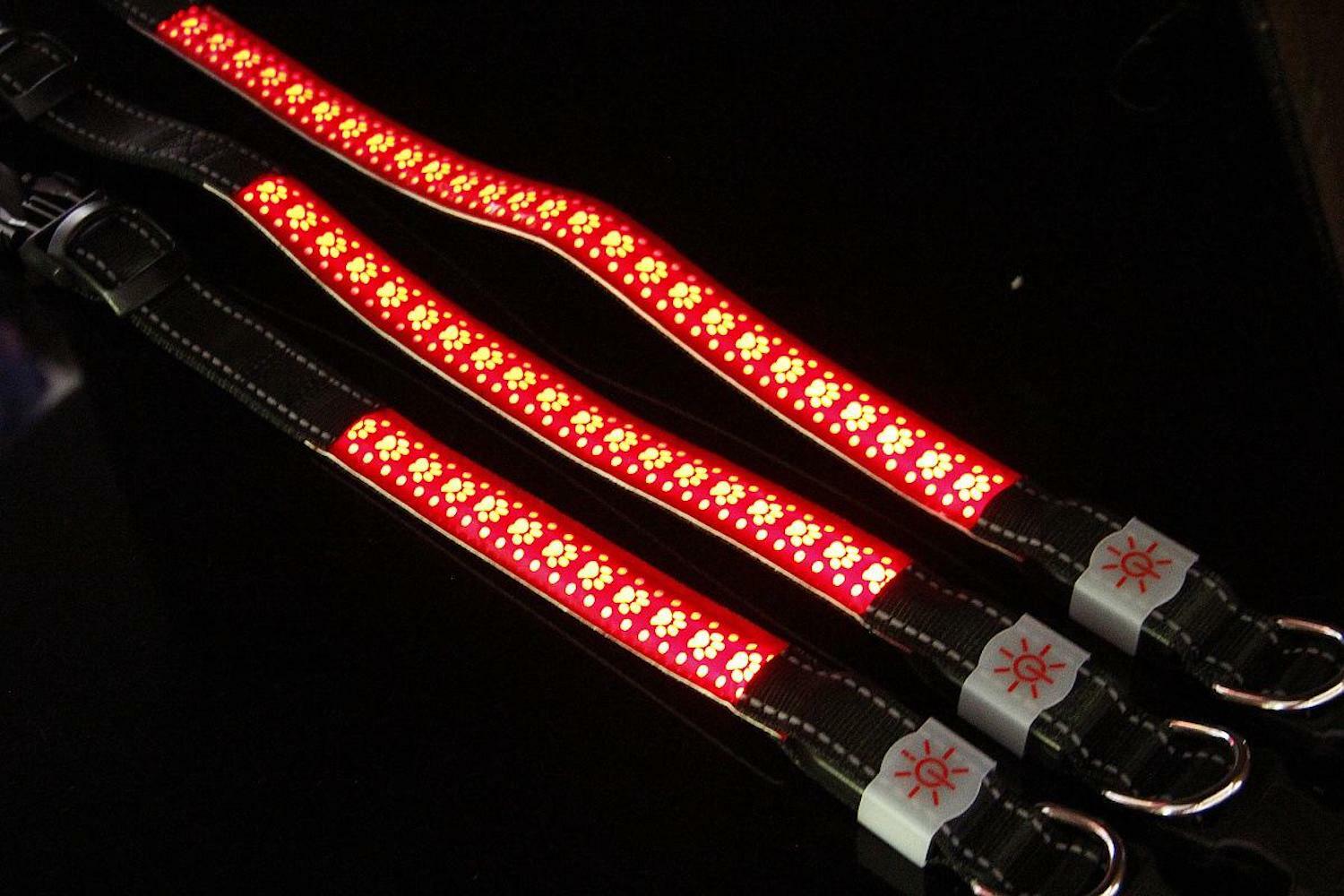 PREMIUM Rechargeable LED Pet Glow COLLAR rugged safety flash light-up FOR dog