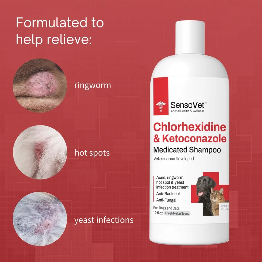 SensoVet Chlorhexidine Ketoconazole Shampoo for Dogs & Cats – 12oz