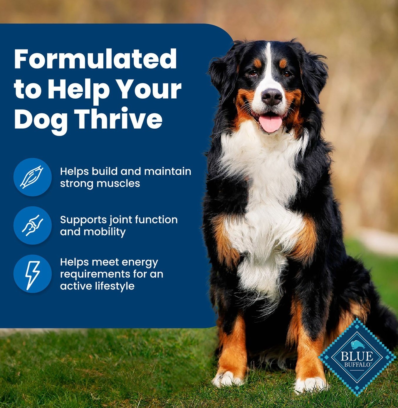 Blue Buffalo Life Protection Formula Adult Dry Dog Food – Chicken & Brown Rice