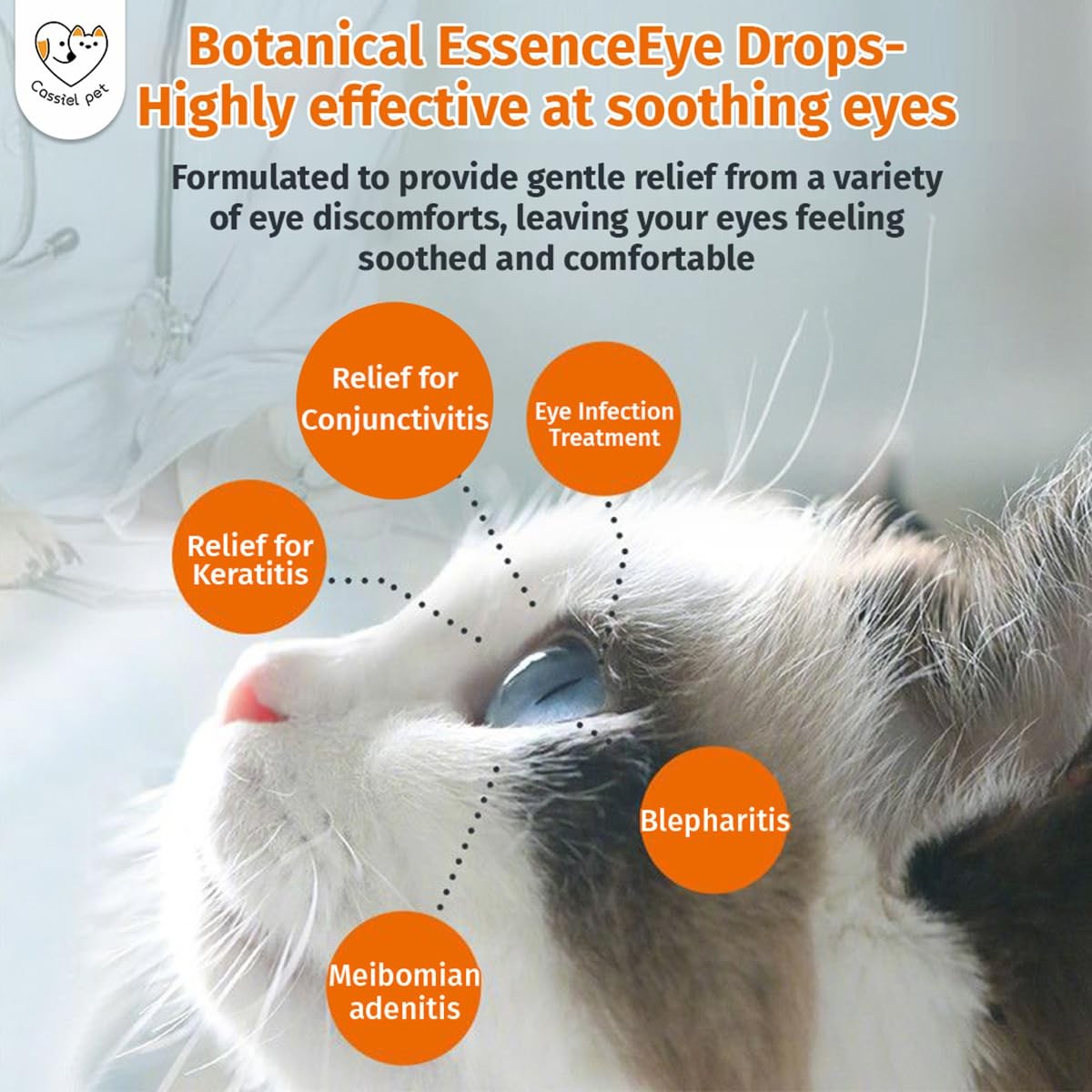 Cassiel pet Eye Drops for Infection Treatment, Soothe 1 Bottle, colorless