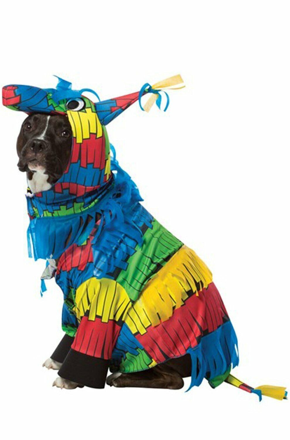 Pinata Dog Halloween Costume 24-32lb Size Large Pet Cat Mexican Birthday Party