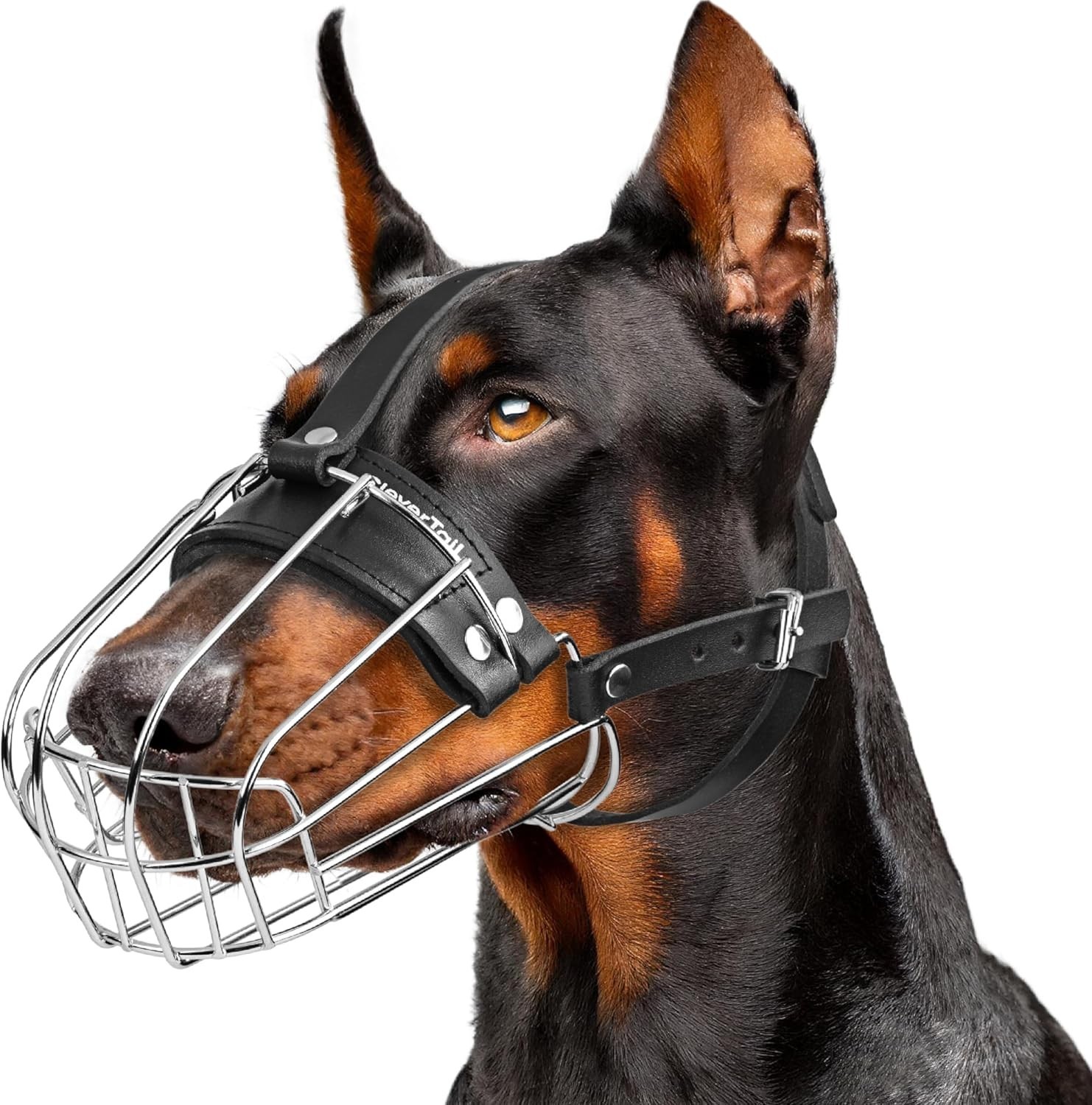 Metal Doberman Muzzle for Large Sized Dog – Cage Muzzles for Barking and Prev