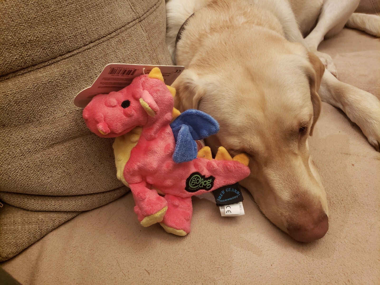 goDog Dragons Small Coral Chew Guard Squeaker Plush Dog Toy 770801