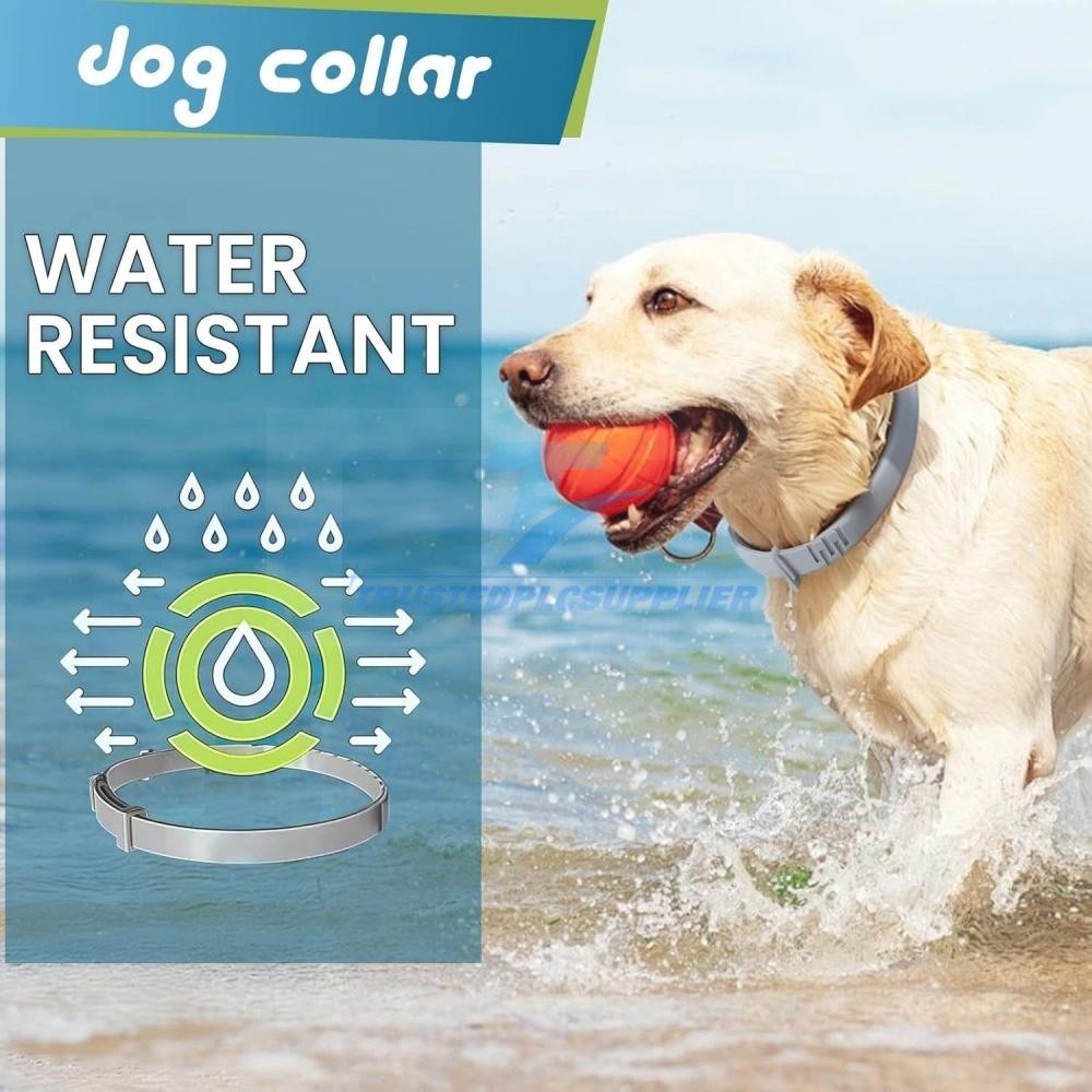 Dog collar Flea and Tick 8 Months Protections Adjustable Pet Collar for Dogs