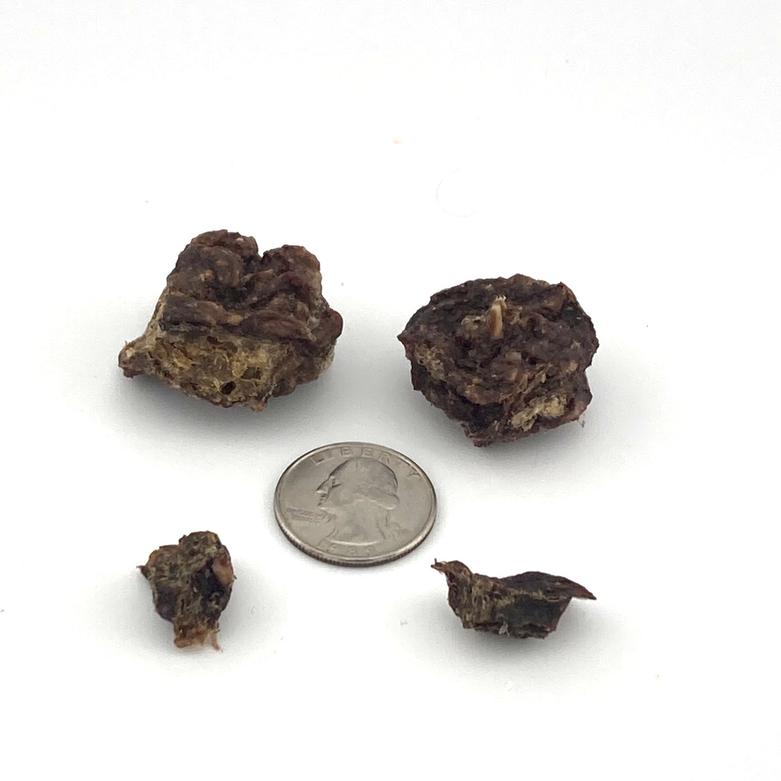 Bunny Bites Rabbit Dog & Cat Training Treat Single Ingredient Dehydrated USA