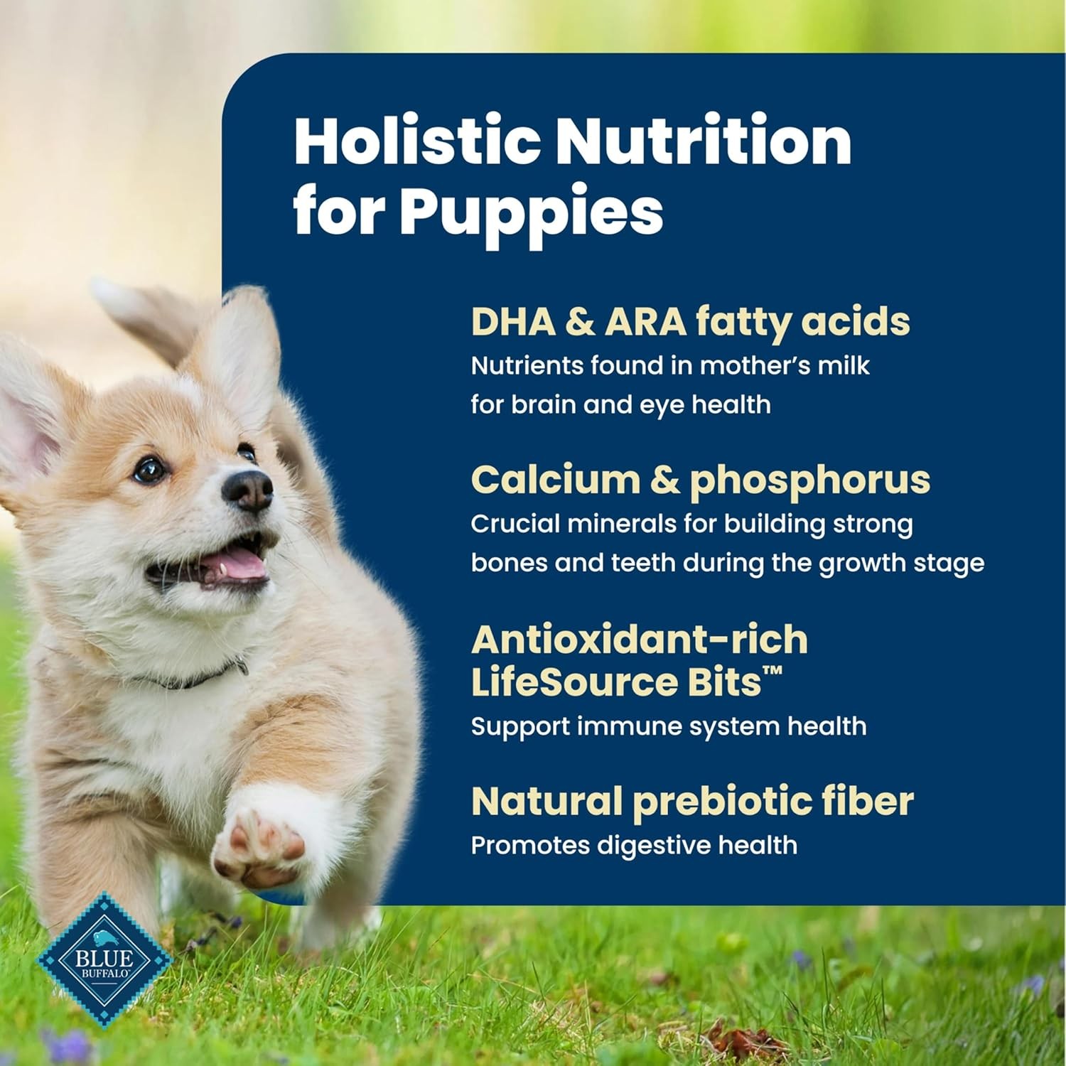Blue Buffalo Life Protection Formula Puppy Dog Food, Chicken & Brown Rice 30 lbs