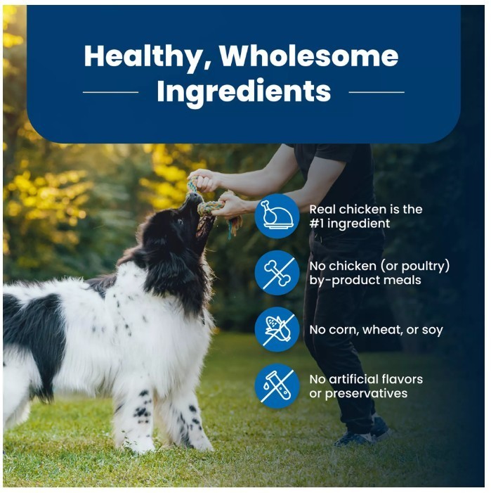 Blue Buffalo Life Protection Formula Adult Dry Dog Food – Chicken & Brown Rice