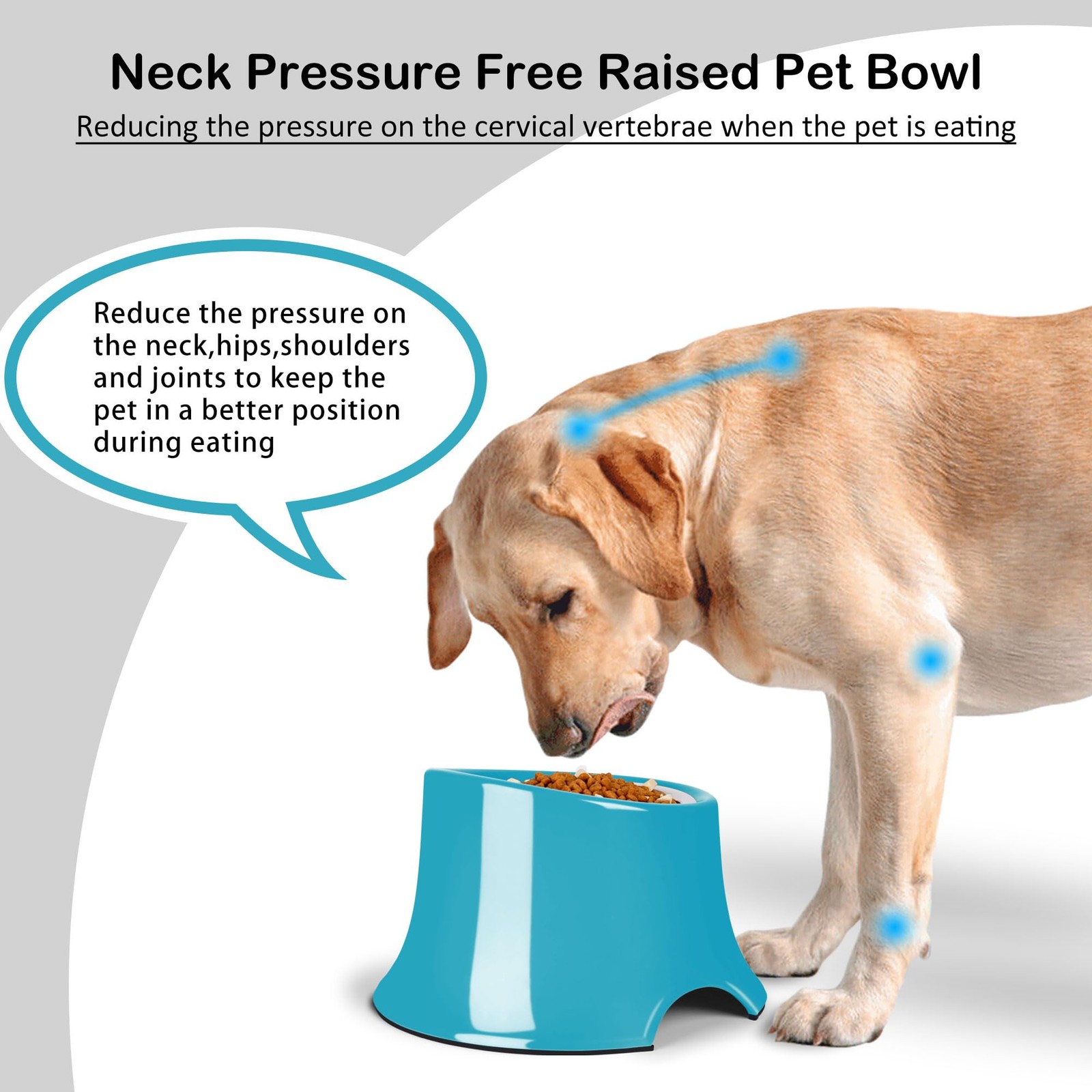 Grass Blue High Capacity Tilted Elevated Dog Bowl for Medium Small Dogs M/2 Cup
