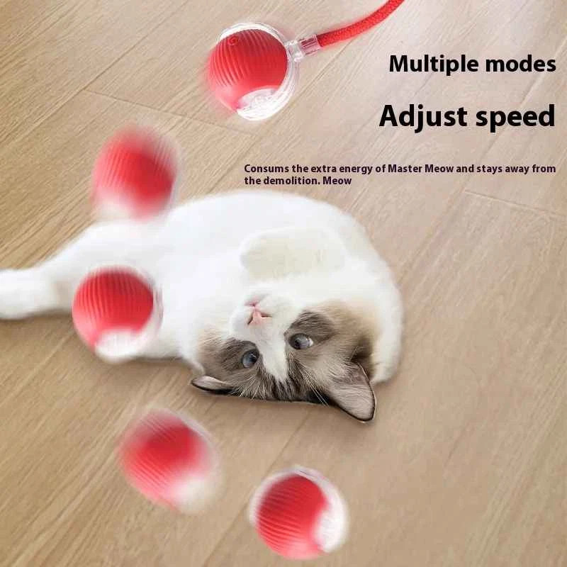 Automatic Rolling Ball Smart Cat Dog Toy Electric Pet Self-moving Kitten lot