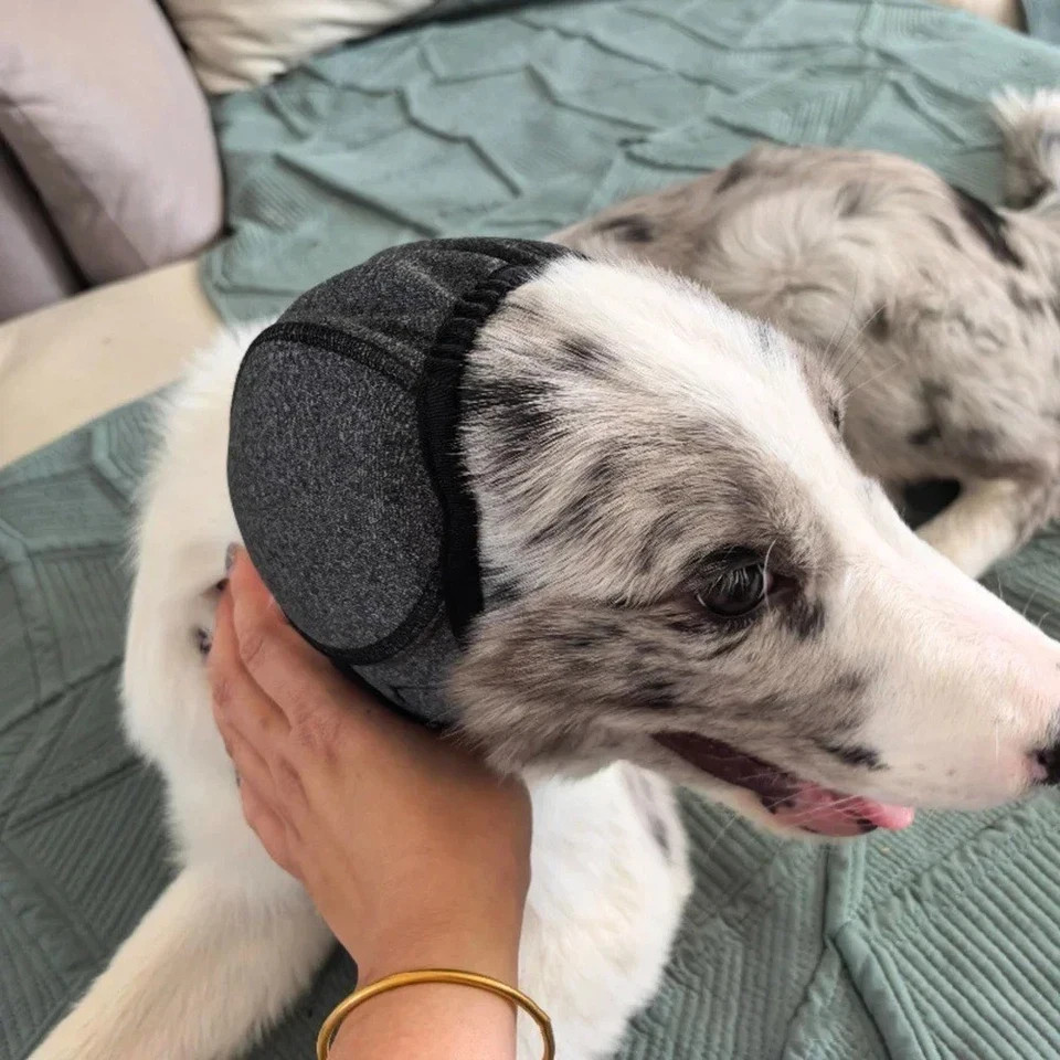 Waterproof Dog Ear Muffs Grooming & Swimming Calming Hood Noise Cover