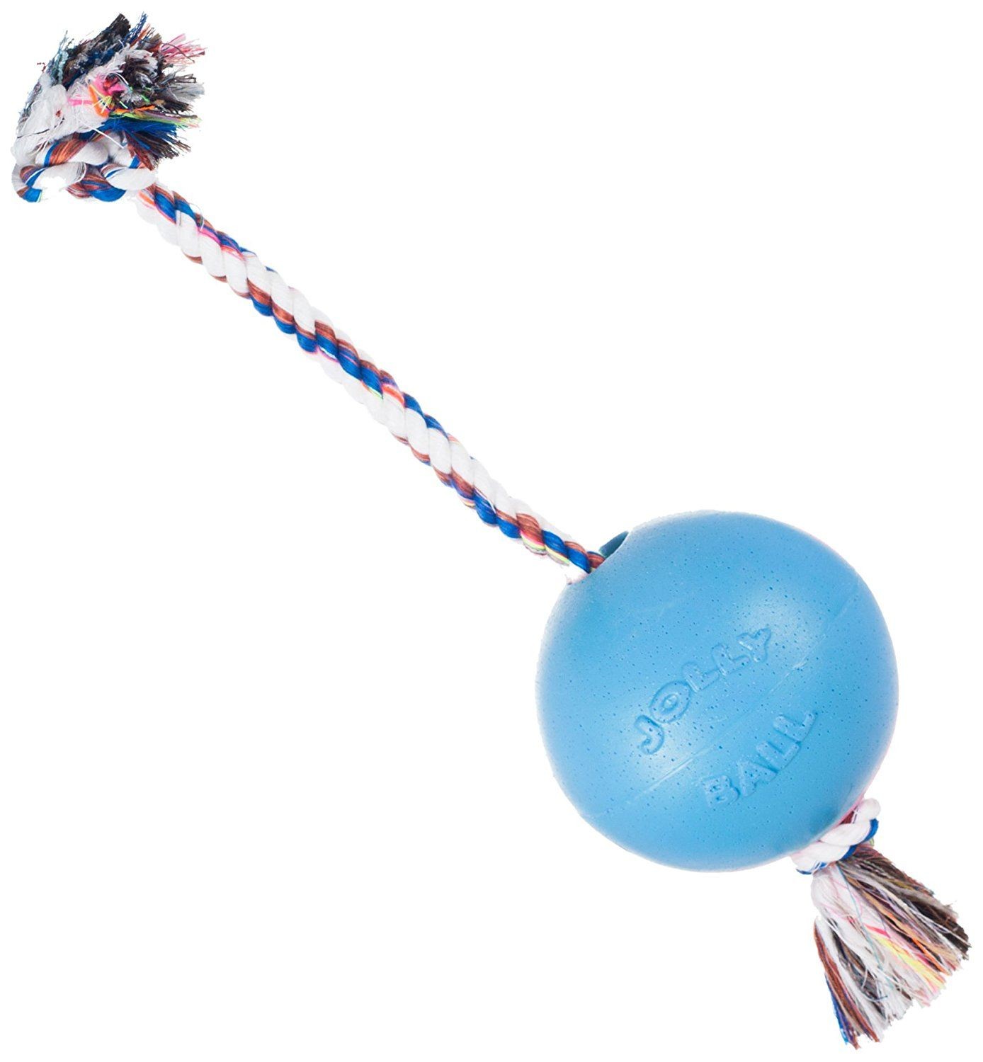 Jolly Pets Romp-n-Roll 4.5 inch Blueberry Rubber Ball with Rope for Dogs