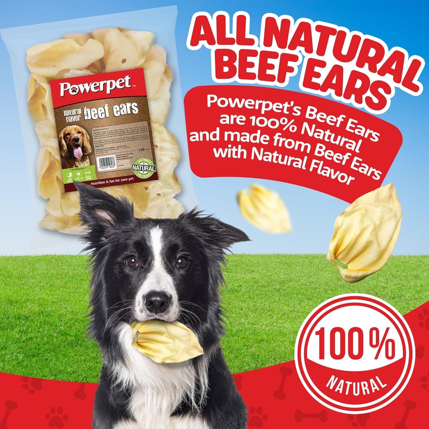 All Natural Beef Cow Ears DOG Treats 100 count Natural Flavor