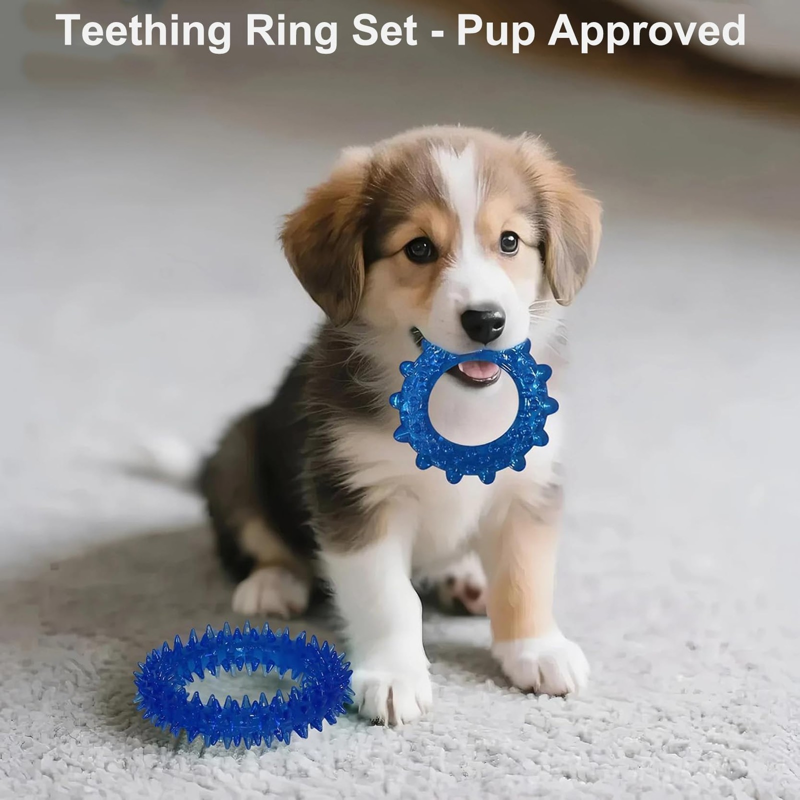 Puppy Chew Toys for Teething and Fun 20 Pack Dog Toys for Small Puppies Bulk
