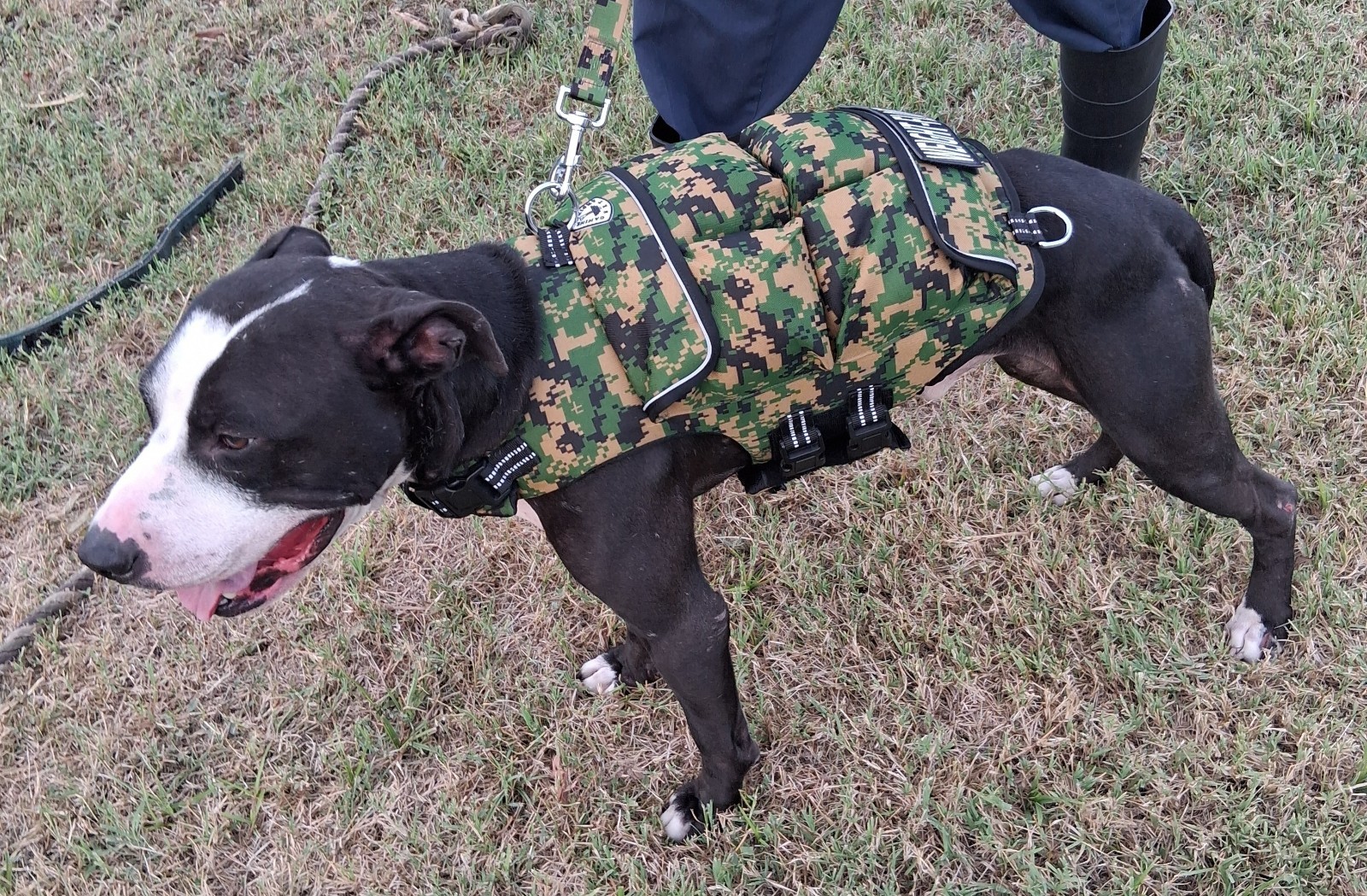 CWS Weighted Dog Vest + Flotation Vest-Medium 12 Pounds Sandbags Only No Sand!!