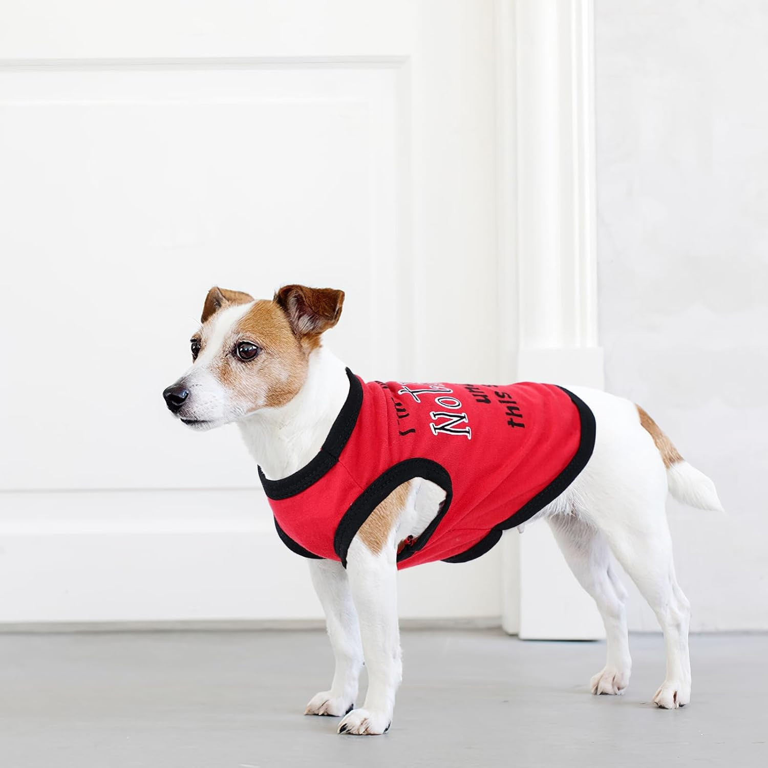4 Pieces Dog Clothes for Small Dogs Boy Soft Spring Puppy Shirts Summer Cute