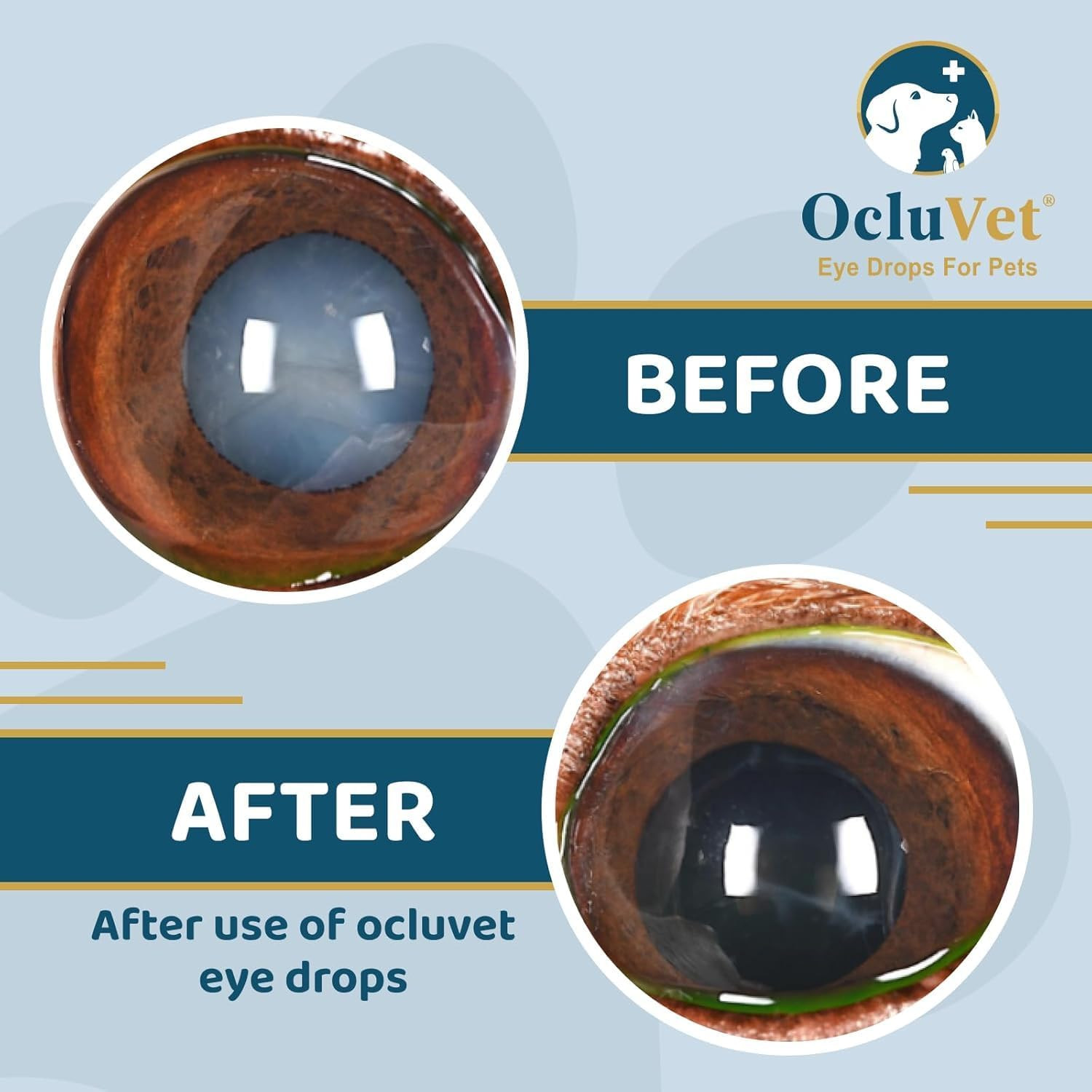 Eye Drops for Pets Includes 2% N-Acetyl-L-Carnosine (NAC) 16Ml x 2Pack EXP:06/27