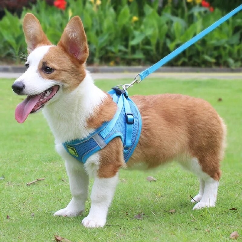 No Pull Dog Pet Harness Adjustable Control Vest Dogs Reflective XS S M Large XL