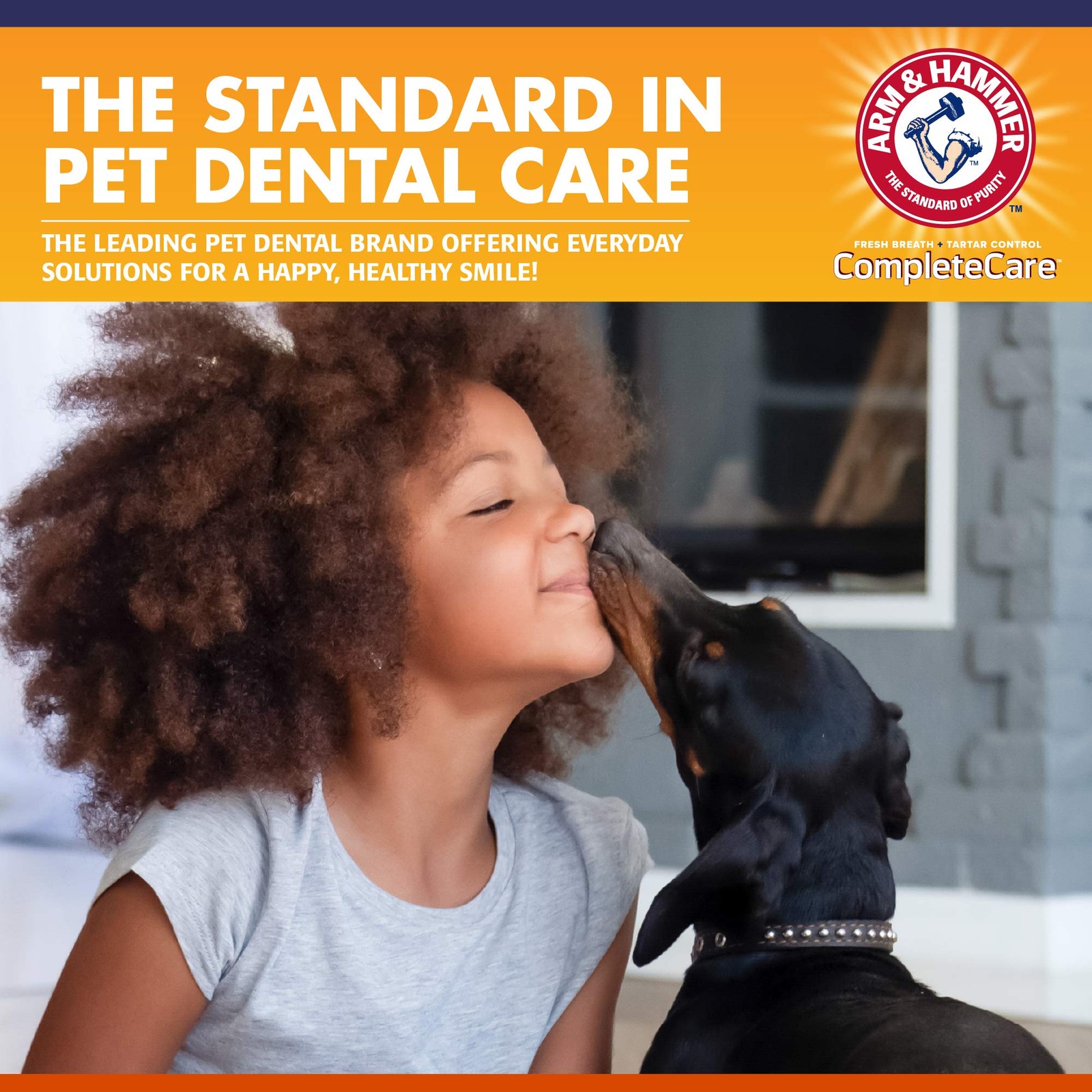 Arm & Hammer Complete Care Dental Water Additive 16 Fl Oz (Pack of 1), White