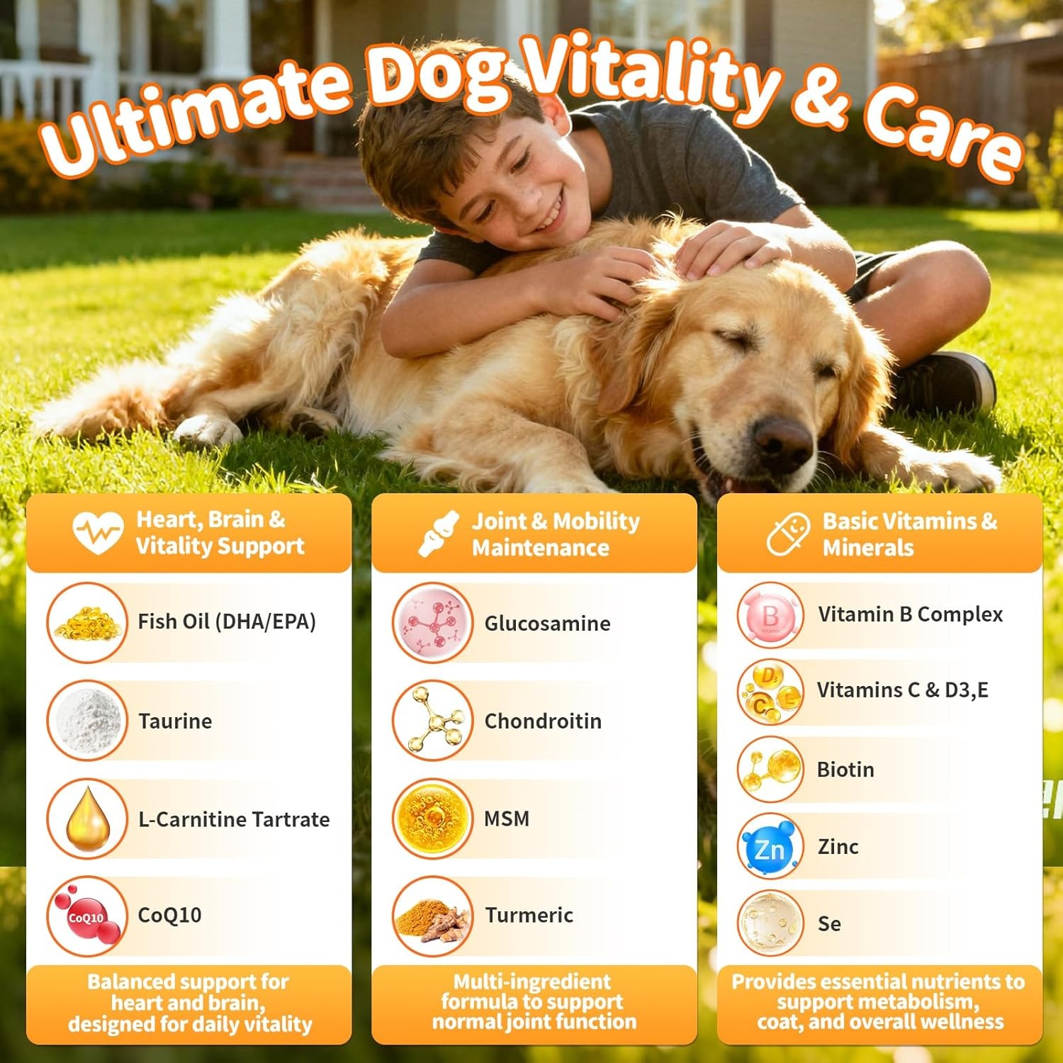 25-in-1 Dog Multivitamin Chews for Dogs Skin & Coat, Gut, Heart & Brain