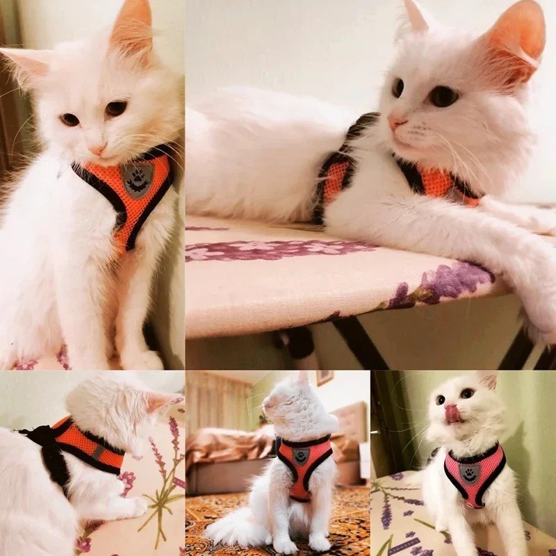 Cat Dog Pet Harness Adjustable Control Vest Dogs Reflective S, M, L, Leash