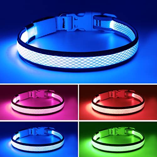 LED Dog Collar, Light Up Dog Collar USB Rechargeable, Assorted Colors , Sizes