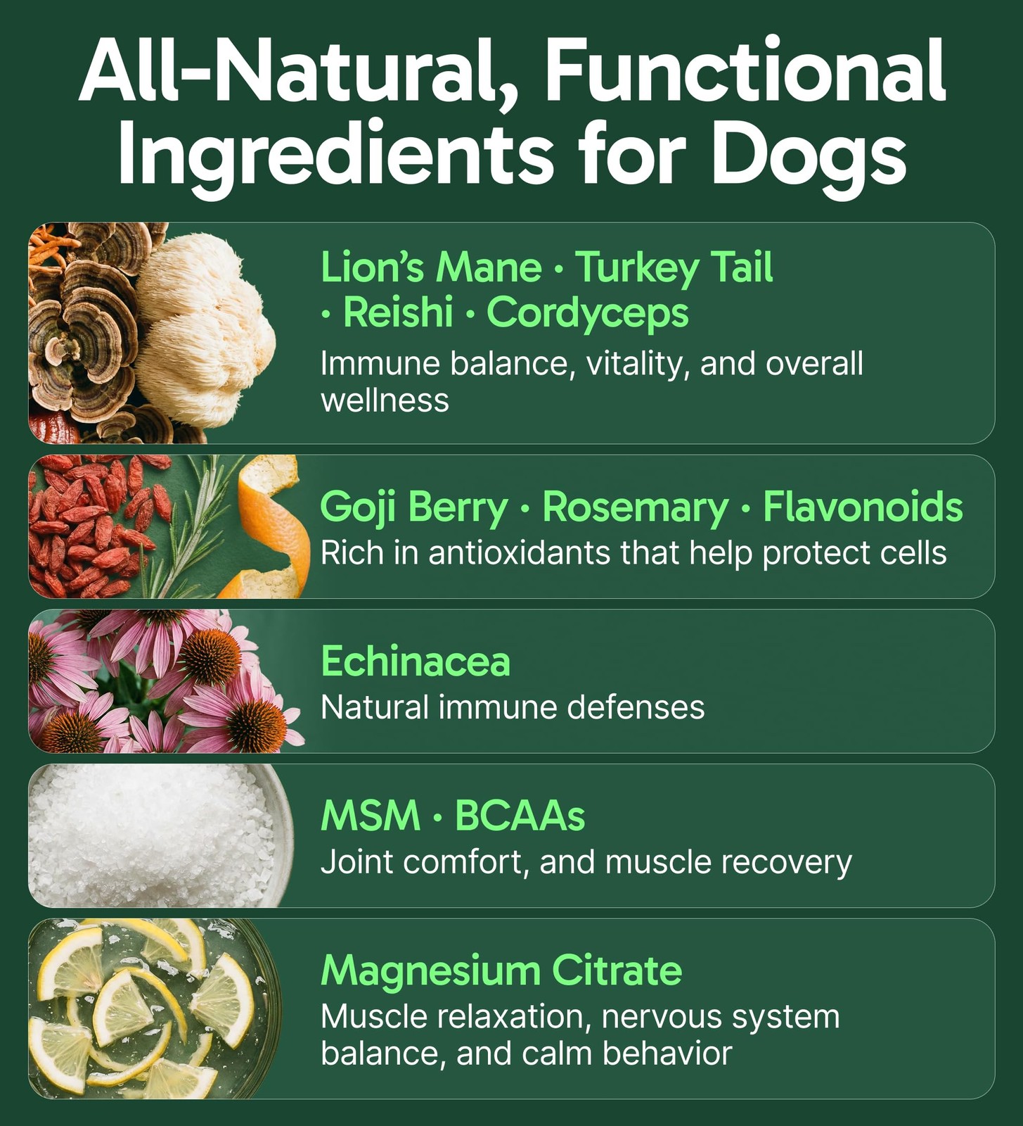 Dog Immune Support Powder 30 serv All-Natural Mushroom Dogs Immunity Digestion