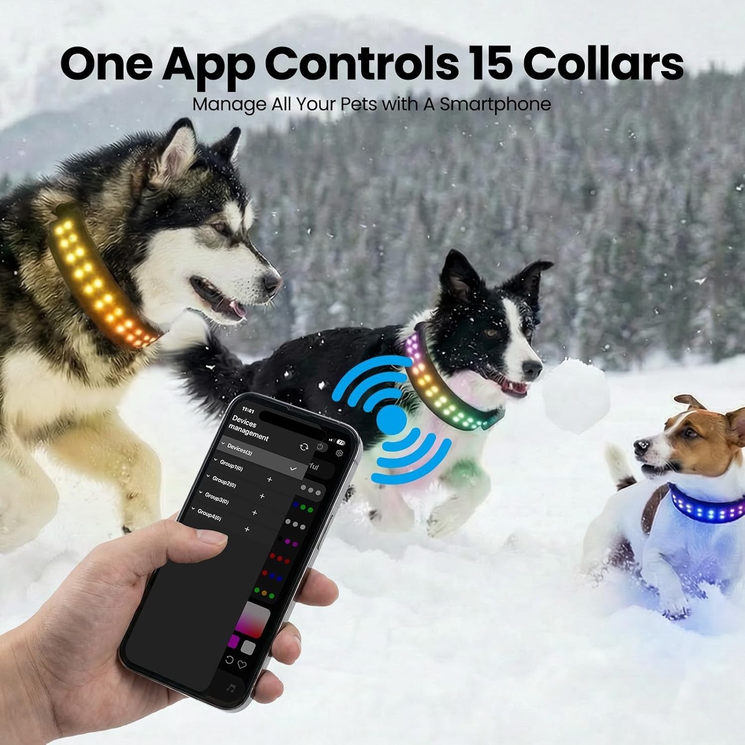 LED Dog Collar App Controlled Large; Light Up Night Safety Collar