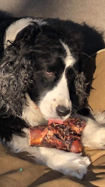 Smoked Wild Game Bones for Large Dogs – 1.5 Pounds