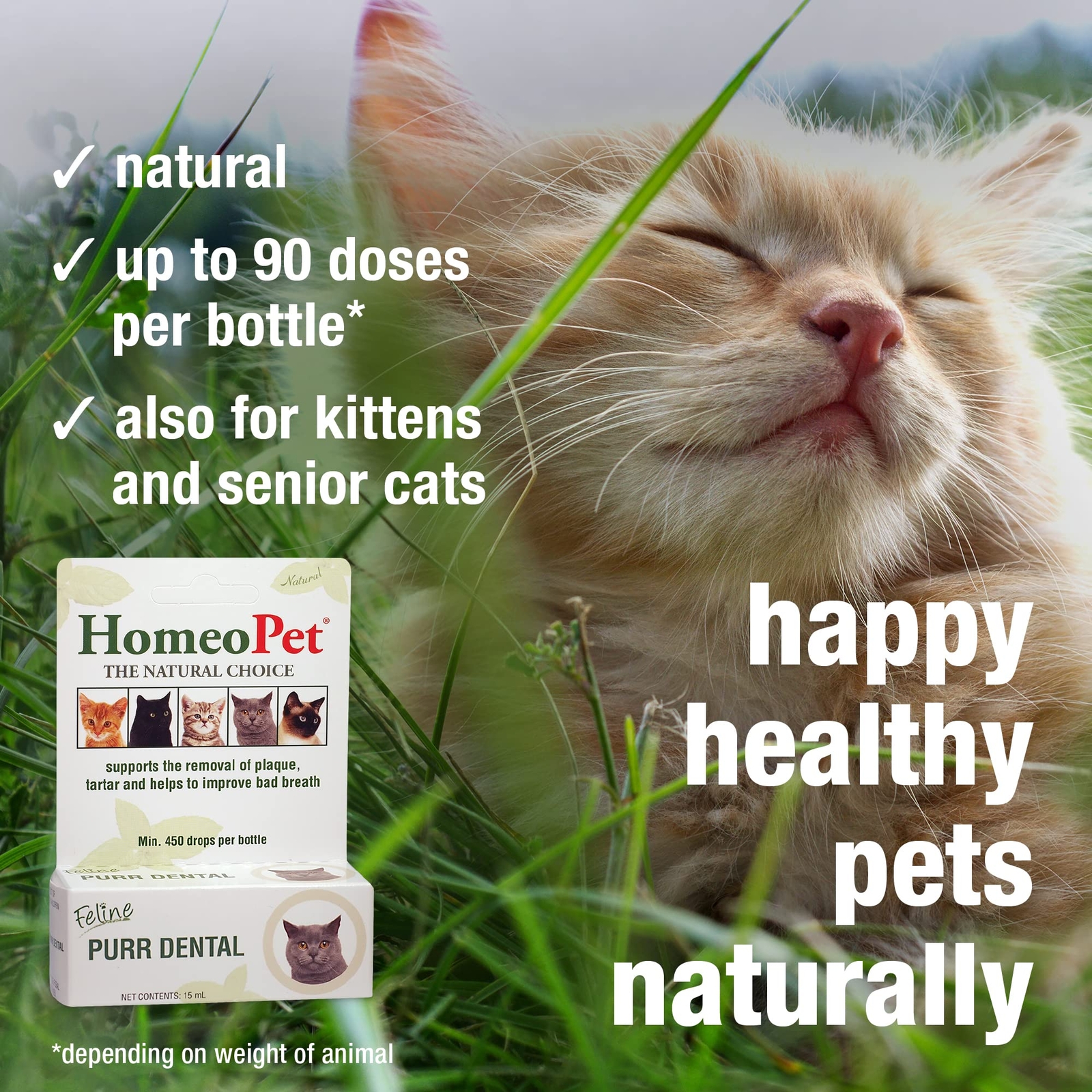 HomeoPet Feline Purr Dental Natural Cat Teeth Cleaner 15mL Safe Oral Care