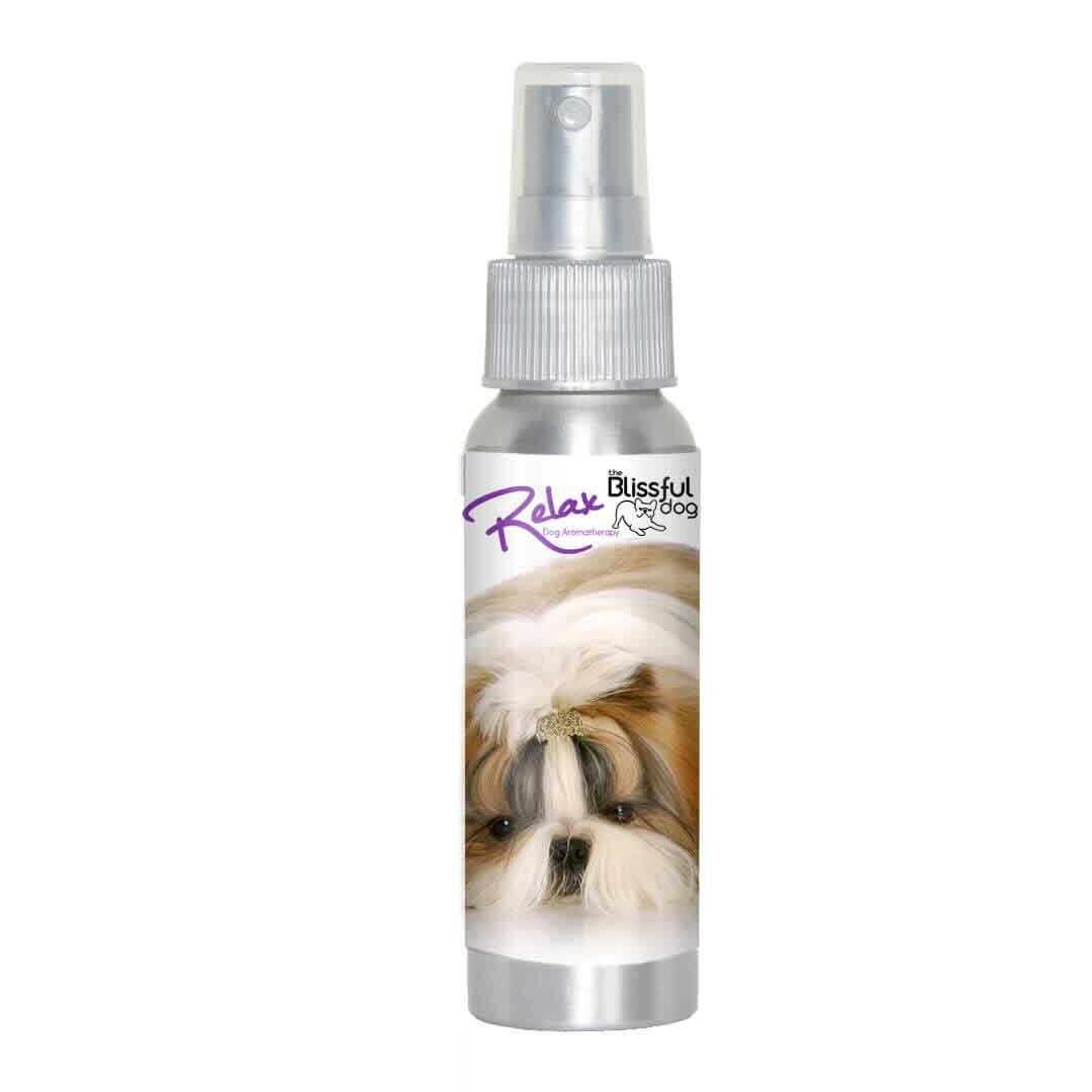 Shih Tzu Relax Dog Aromatherapy | Calms Your Anxious, Scared Shih Tzu Naturally