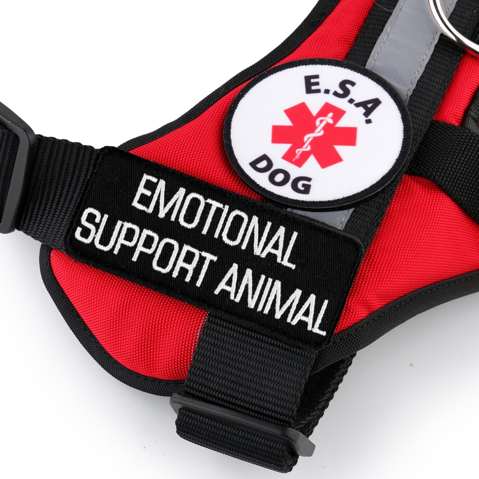 Vest Patches: Service Dog | Therapy | ESA Support Dog | PTSD | ALL ACCESS CANINE