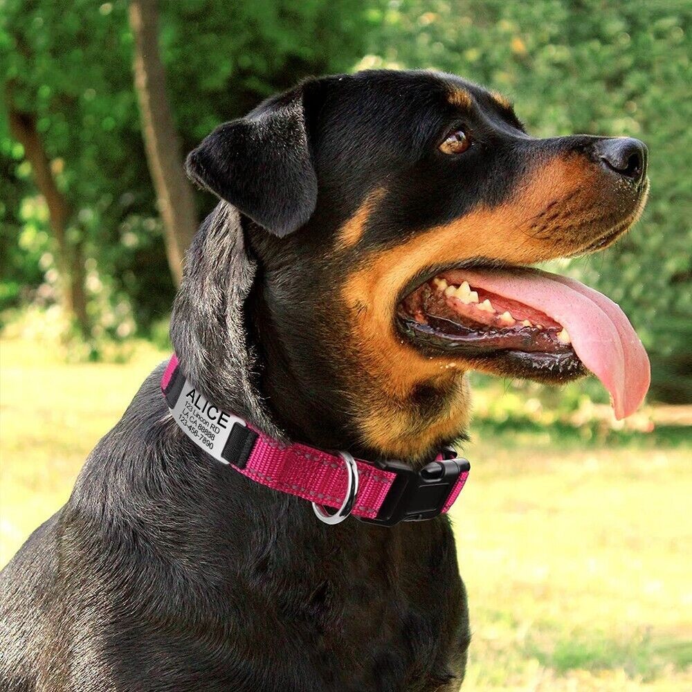 Personalized Dog Collar Reflective Nylon Custom Pet Name ID Tag Adjustable XS-XL