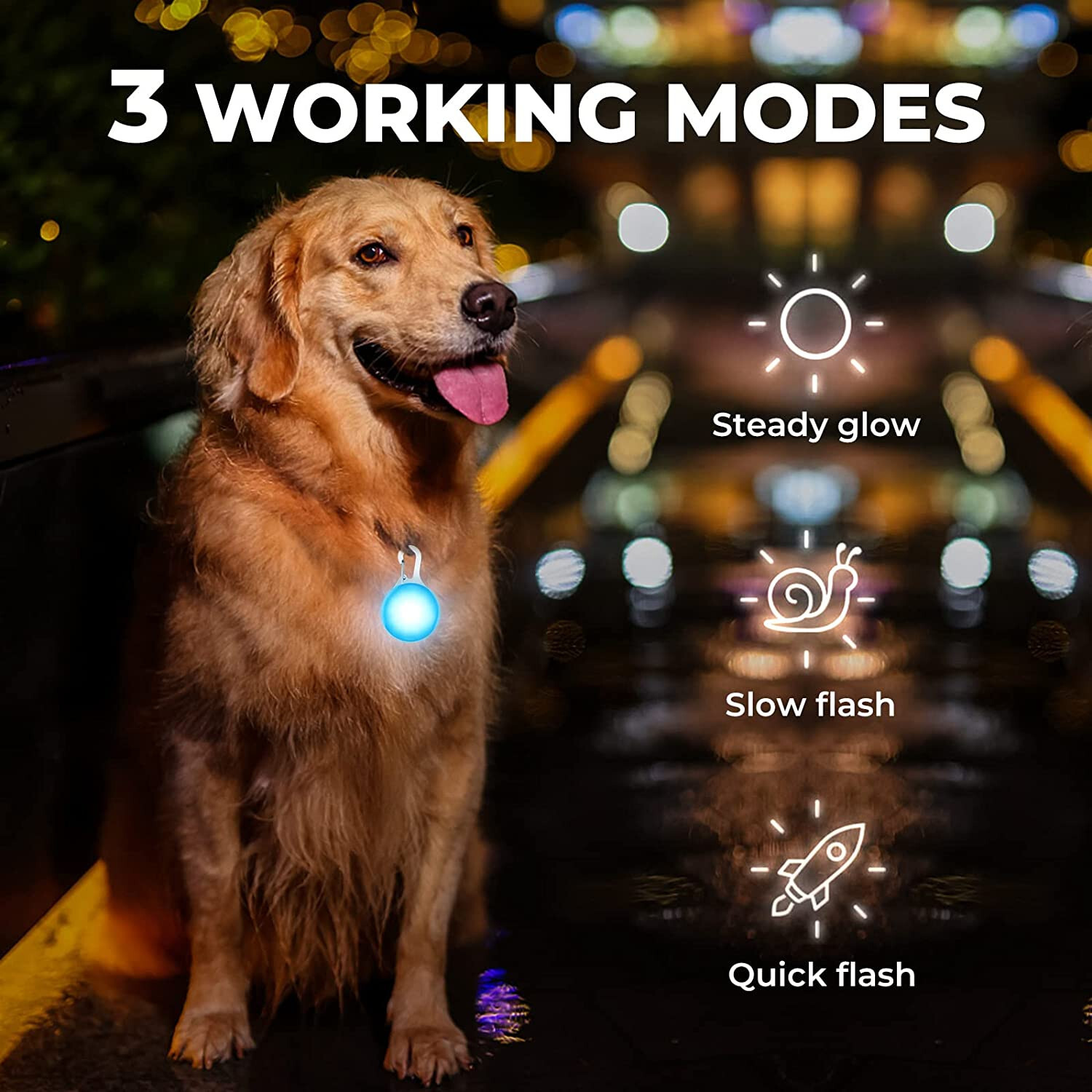 8x LED Dog Collar Light Clip On Pet Safety Night Flash Pendant Waterproof Tag