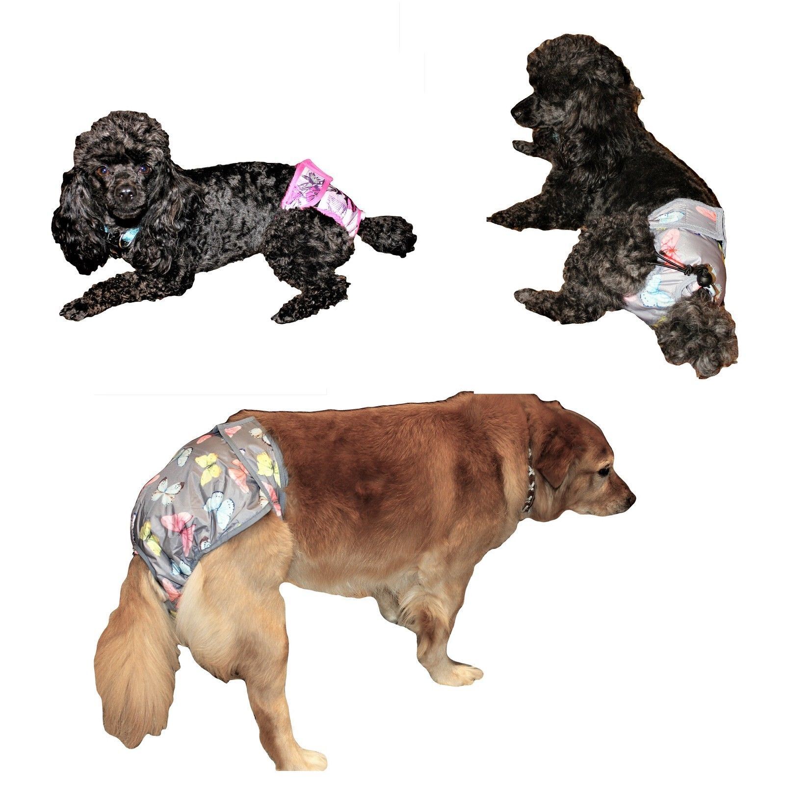 LEAK PROOF Cat Female Dog Diaper WATERPROOF Washable ABSORBENT Pad sz XXS – XXXL