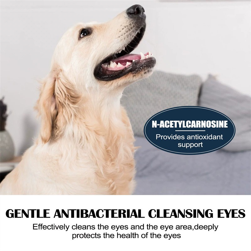 Cataract Drops for Dogs,Dog Eye Drops,Improve Vision Clarity,Improve Eye Visi