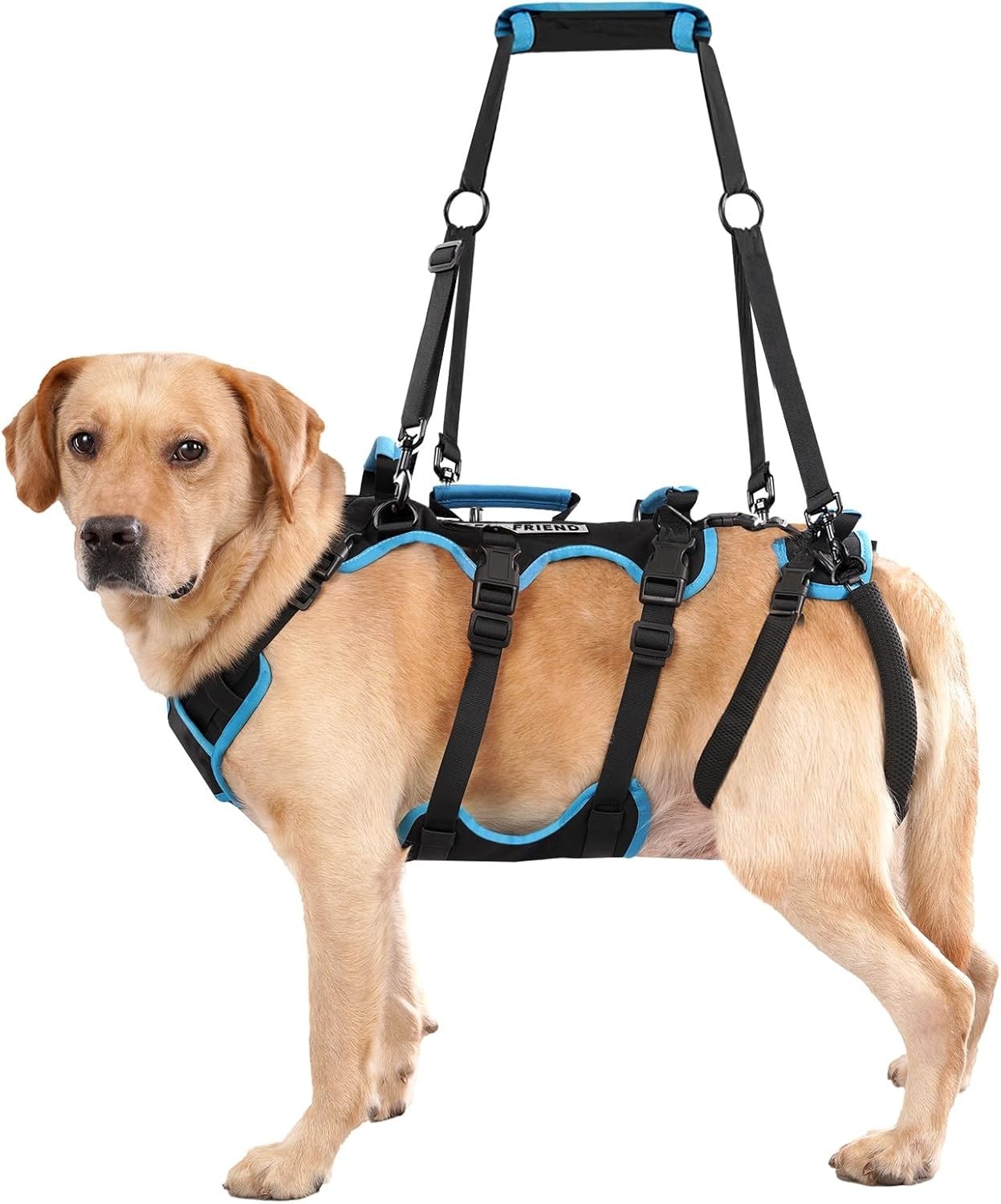 Lafoty Dog Lift Harness for X-LARGE Dogs 2-in-1 Help Em Up Harness SupportAid
