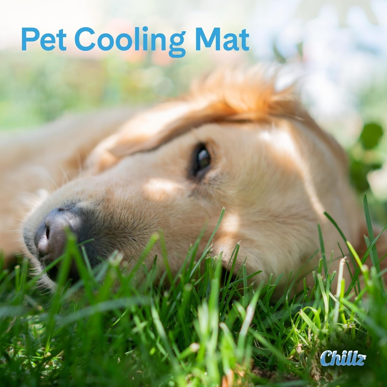 The Green Pet Shop Chillz Gel Mat, Extra Large – Pressure-Activated Cooling Pad