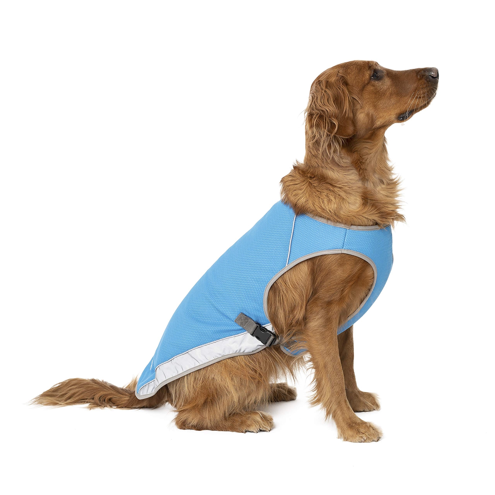 Canada Pooch – Chill Seeker Dog Cooling Vest, Breathable Mesh Material, Aqua, 8