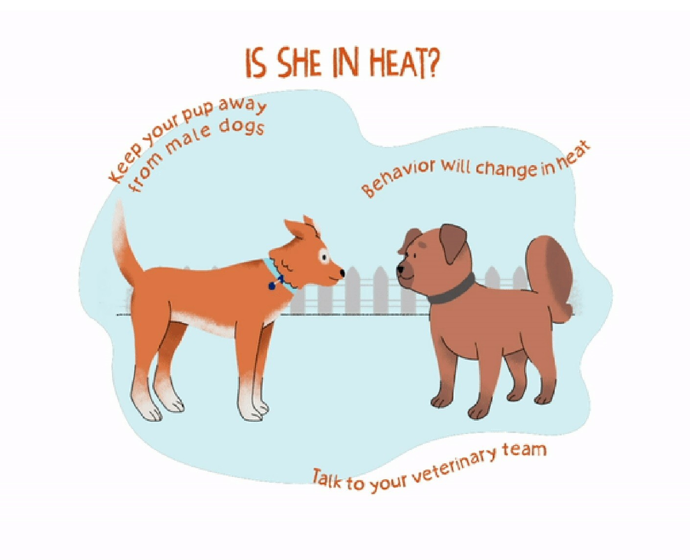 FEMALE DOG HEAT SUPPORT – (120 Capsules – Made in USA)