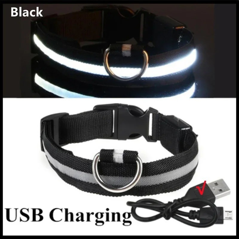 RECHARGEABLE LED PET GLOW COLLAR night safety adjustable flash light-up FOR dog