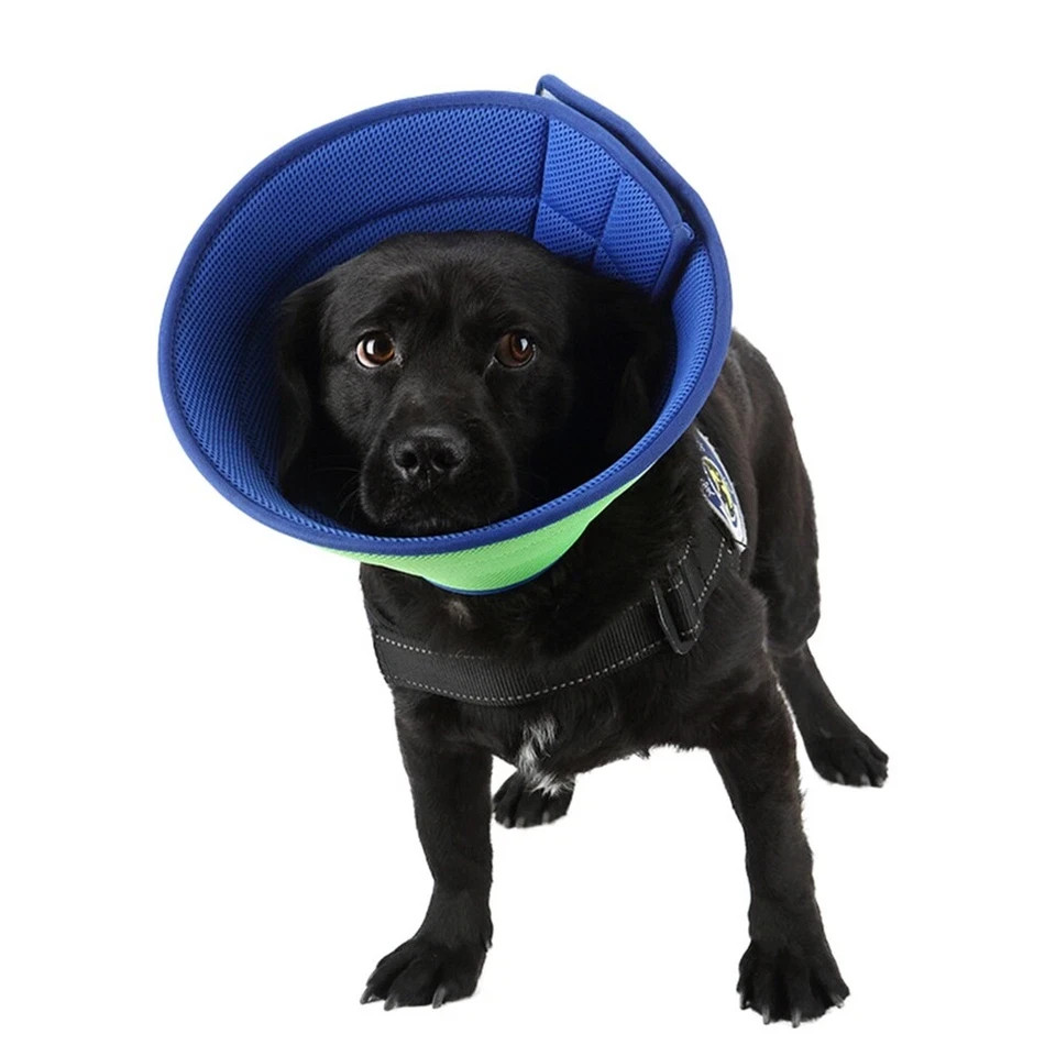 Pet Protective Collar Dog Cat Neck Cone Recovery Cone Collar Size S,M,L,XL
