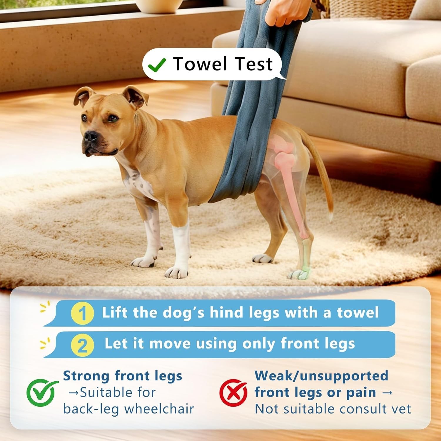Size M/L – Dog Wheelchair for Back Legs, Adjustable Height/Length/Width