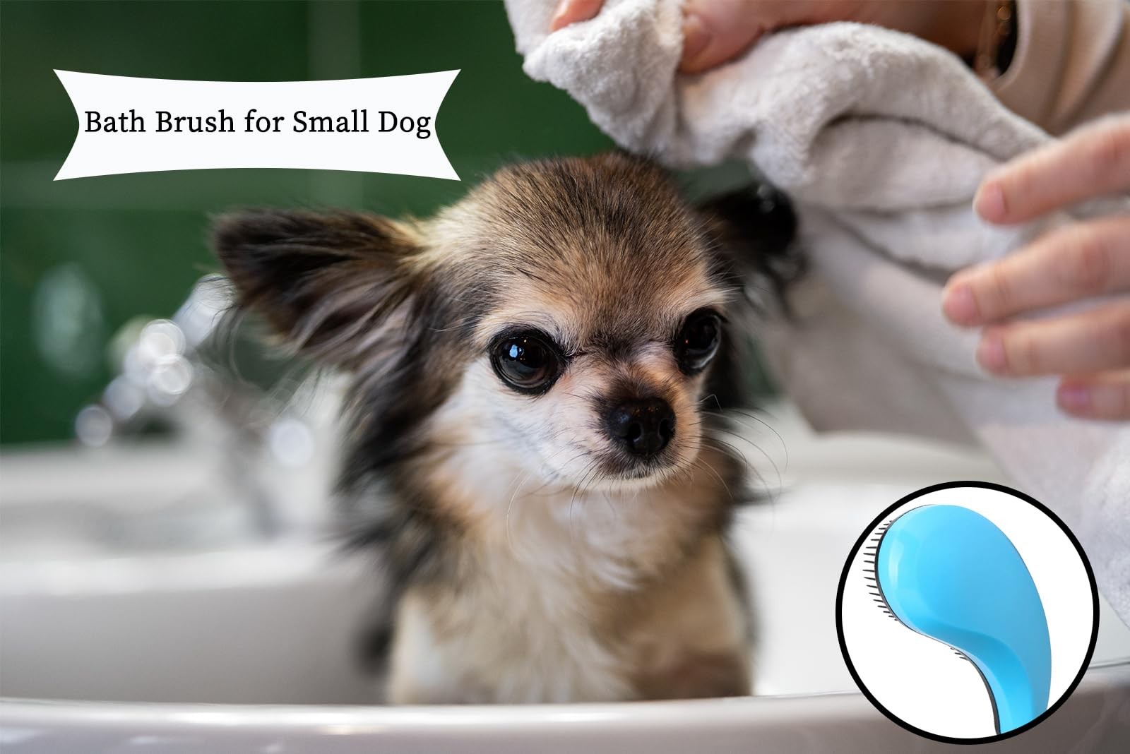 Small Dog Grooming Brush for Teddy, Yorkie, Maltese, Shih Tzu, Chihuahua